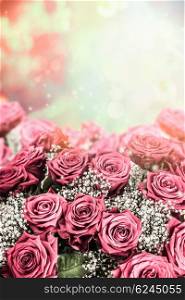 Beautiful roses background. Floral border