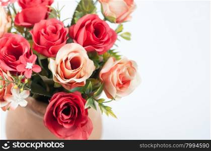 beautiful roses in a pot