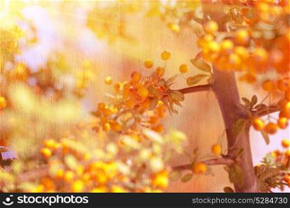 Beautiful rowanberry background, grunge style photo of many little yellow berry on the tree in bright sun light, beauty of nature