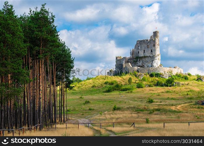 Beautiful ruined castle in Mirow, Poland