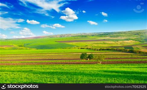 beautiful rural landscape and blue sky