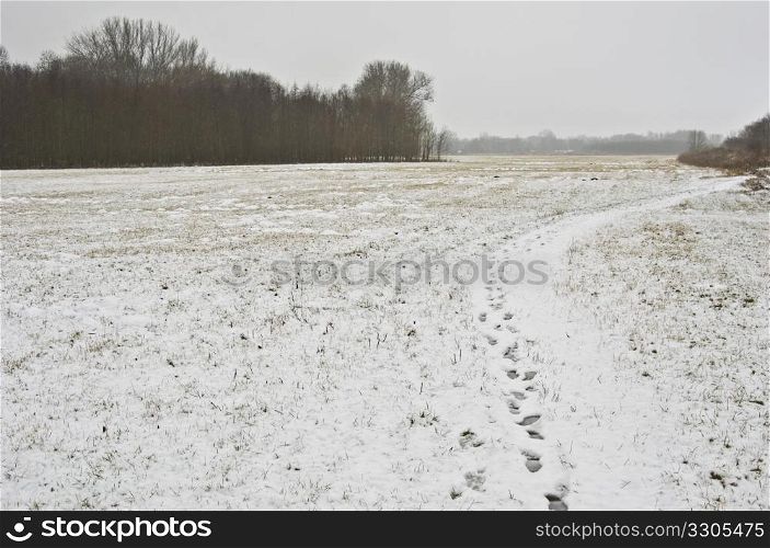 beautiful rural landscape covered in snow on a cold day