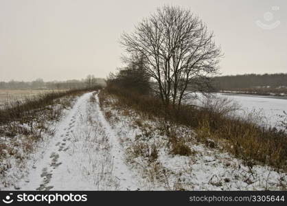 beautiful rural landscape covered in snow on a cold day