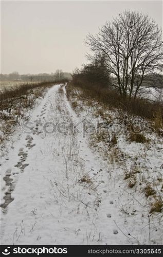 beautiful rural landscape covered in snow on a cold day