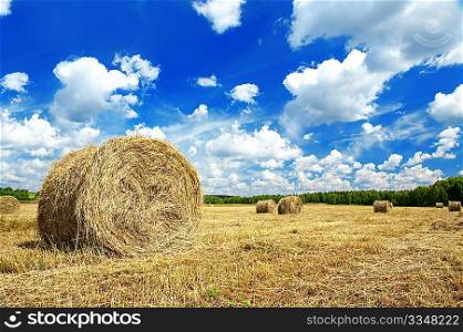 Beautiful rural landscape of a field with hay rolls