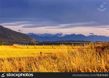 Beautiful rural landscape of the New Zealand at sunrise