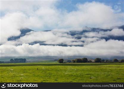 Beautiful rural landscape of the New Zealand - green hills and trees