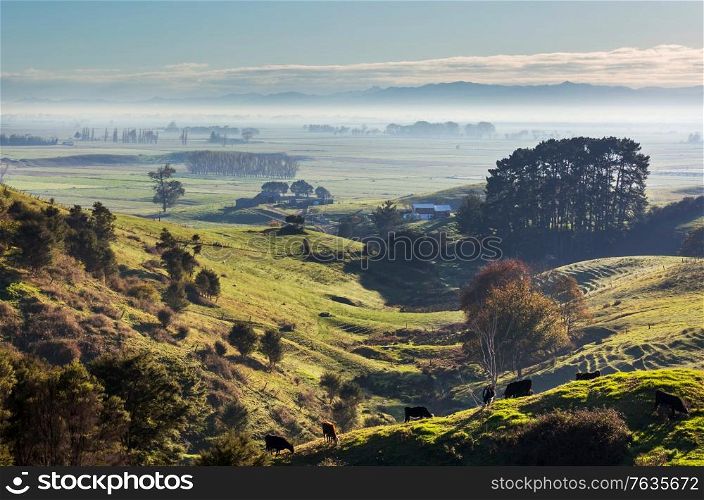 Beautiful rural landscape of the New Zealand - green hills and trees