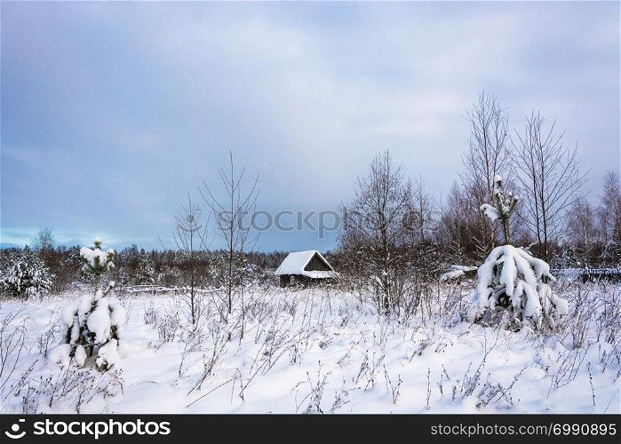 Beautiful rural landscape on a quiet frosty winter cloudy day.