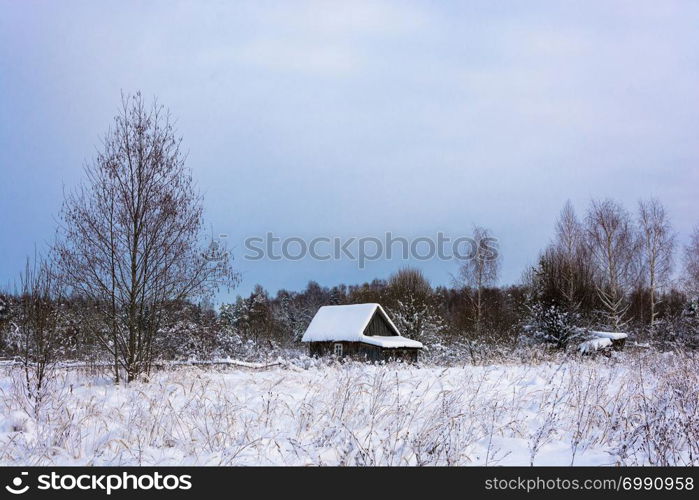 Beautiful rural landscape on a quiet frosty winter cloudy day.