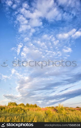 Beautiful rural landscape with blue sky with clouds on a summer morning meadow with wildflowers