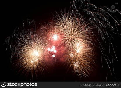 Beautiful salute and fireworks with the black sky background.