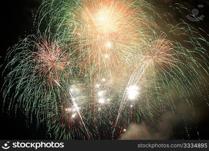 Beautiful salute and fireworks with the black sky background.