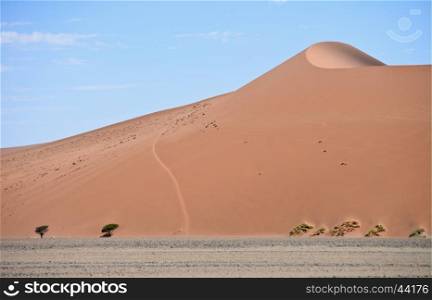beautiful sand dune