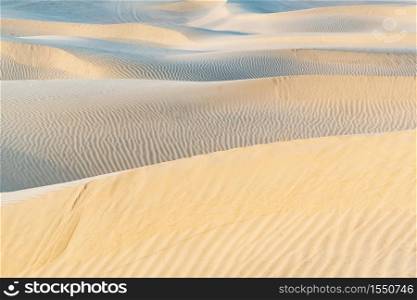 Beautiful sand dune in Thar desert, Jaisalmer, Rajasthan, India.. Beautiful sand dune in Thar desert.