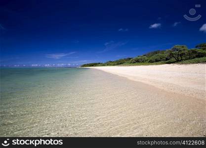 Beautiful sandy shore