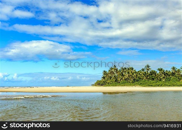 Beautiful Sargi beach with its coconut trees in the city of Serra Grande on the coast of Bahia. Beautiful Sargi beach with its coconut trees