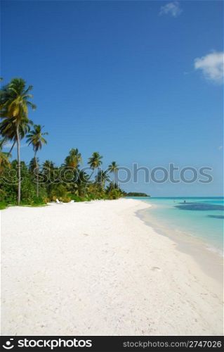 beautiful scene beach in a Maldivian Island
