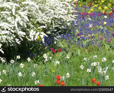 beautiful scenery of a lawn dotted with flowers