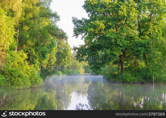 beautiful scenery of Lake Forest with fog