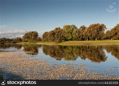 Beautiful scenery of the banks of a river with oak trees reflected in water