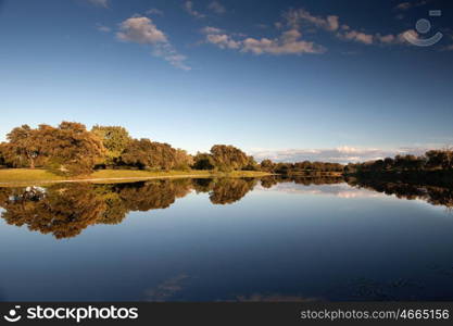 Beautiful scenery of the banks of a river with oak trees reflected in water