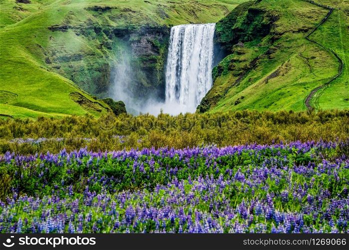Beautiful scenery of the majestic Skogafoss Waterfall in countryside of Iceland in summer. Skogafoss waterfall is the top famous natural landmark and tourist destination place of Iceland and Europe.