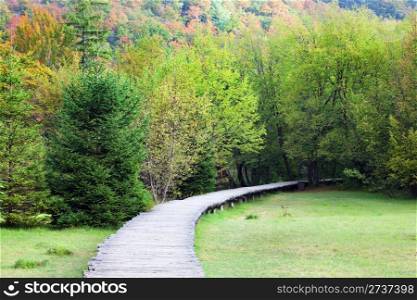 Beautiful scenery of the Plitvice Lakes National Park in early autumn