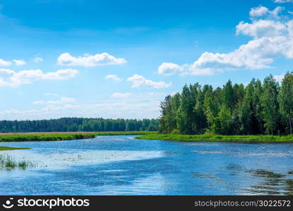 beautiful scenery on a sunny day - a river in the countryside