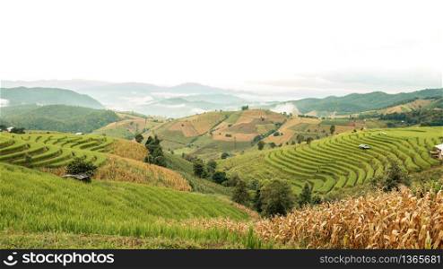 Beautiful scenery on high mountains, rice valleys and agricultural plots.