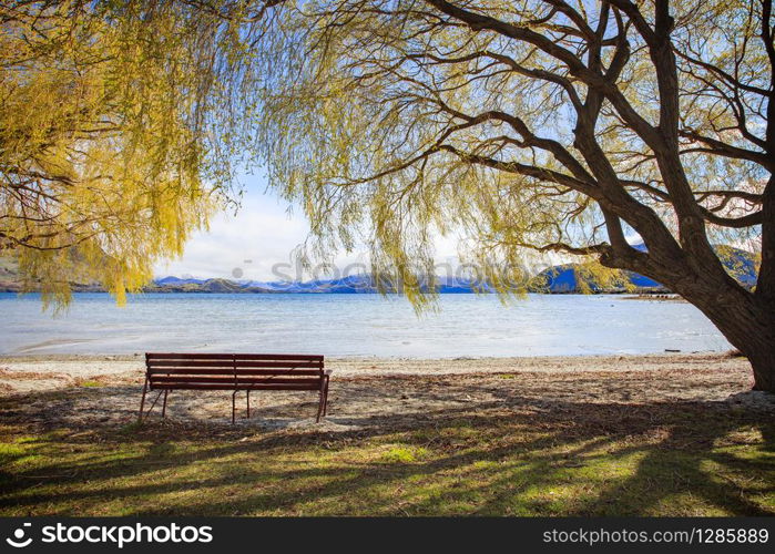 beautiful scenic of lake wanaka new zealand important traveling destination