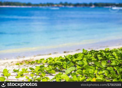 Beautiful sea and coastlines of Gili islands, Indonesia.