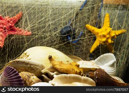 Beautiful sea composition with boat and shells on wooden background