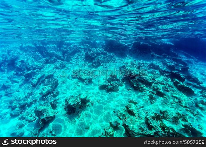 Beautiful seabed background, gorgeous sea bottom through transparent blue water, majestic marine life, travel and vacation concept
