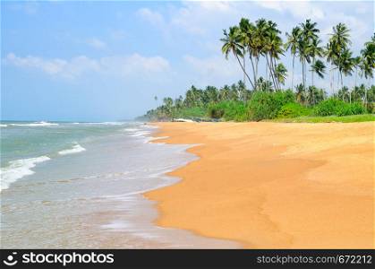 Beautiful seascape. Coconut palms grow on the wide beach.