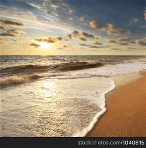 Beautiful seascape. Summer on the beach. Composition of nature.