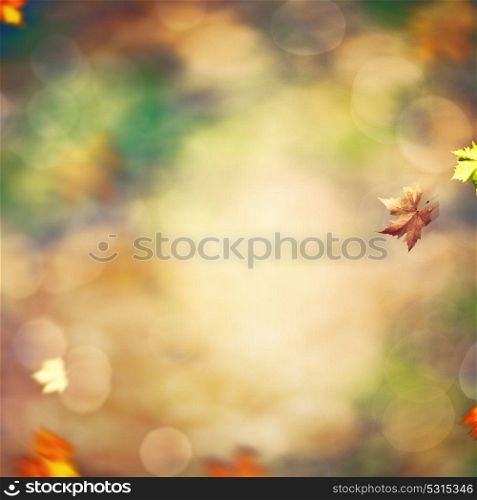 Beautiful seasonal backgrounds with fallen leaves against blurred natural landscape