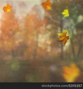 Beautiful seasonal backgrounds with fallen leaves against blurred natural landscape