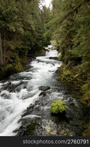 beautiful section of the McKenzie River, central Oregon