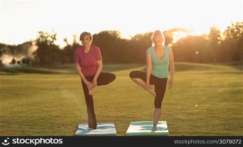 Beautiful senior fitness women doing fitness and yoga stretching, standing in tree pose barefoot on exercise mats on green lawn at sunset. Relaxed sporty adult females practicing and posing yoga in th park.