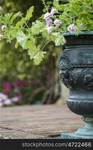 Beautiful shallow depth of field image of English country garden with urn style planter with flowers