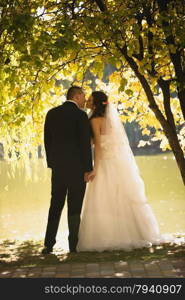 Beautiful silhouette photo of bride and groom kissing at river under big tree