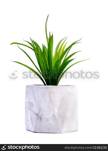 beautiful similar to real artificial plants in ceramic pots isolated on white background