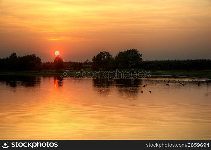 Beautiful simple image of sunset through tress reflected in lake in foreground