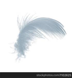Beautiful sketching white feather isolated on white background
