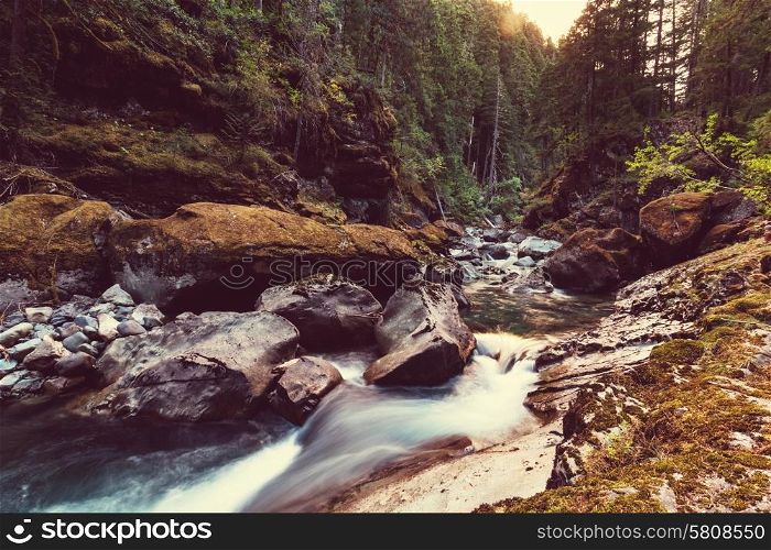 Beautiful small river and canyon in forest