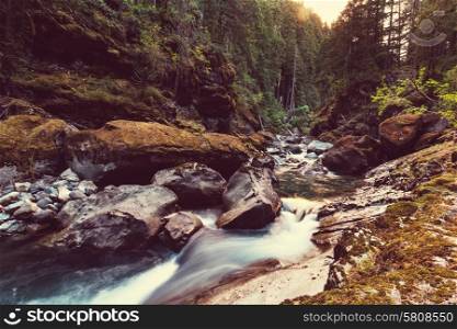 Beautiful small river and canyon in forest