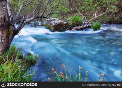 Beautiful small river in forest