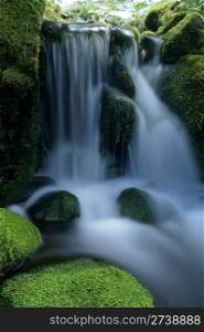 Beautiful small waterfall in forest