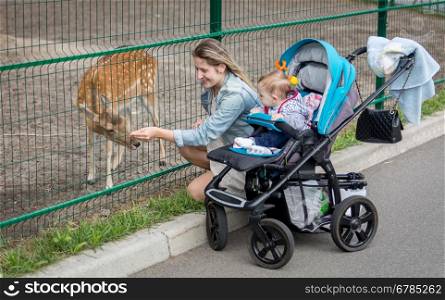 Beautiful smiling mother feeding deer through fence on the zoo